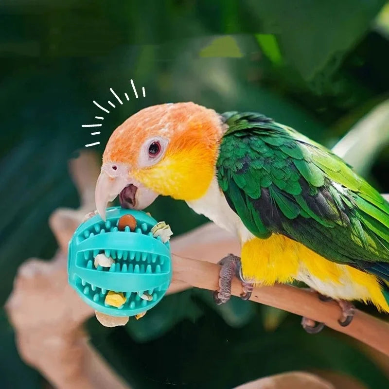 Gummiboll för Hund - Tandvård & Träning med Godisutrymme