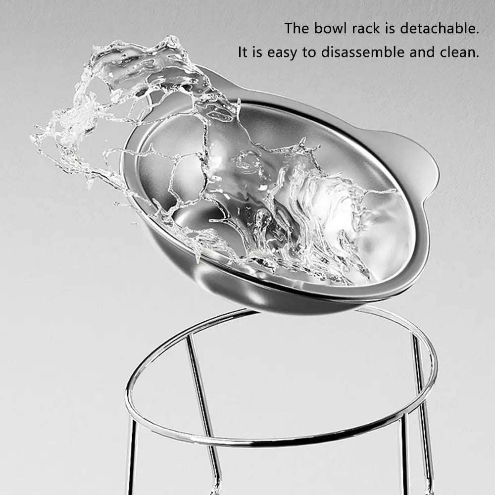 Upphöjd Kattskål Rostfritt Stål - 15° Lutning för Ergonomisk Matning