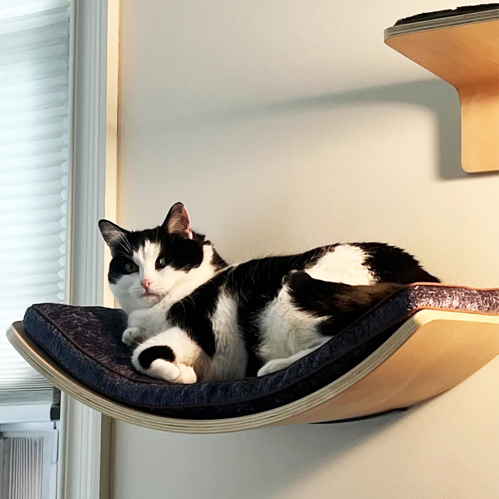 Väggmonterad Katthylla - Kliv & Viloplats i Trä med Kuddar